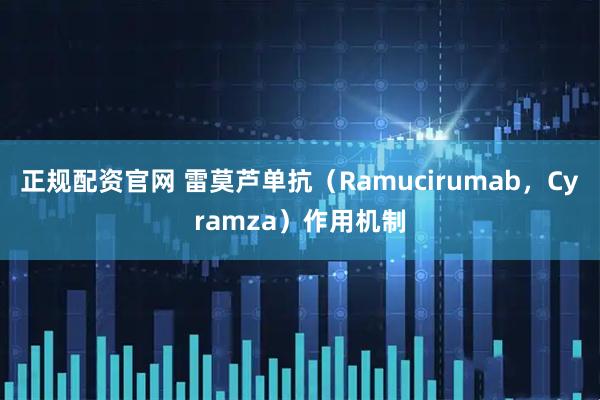 正规配资官网 雷莫芦单抗（Ramucirumab，Cyramza）作用机制