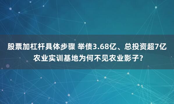股票加杠杆具体步骤 举债3.68亿、总投资超7亿 农业实训基地为何不见农业影子？